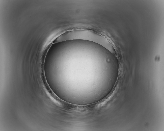 X0000089930101200707271806