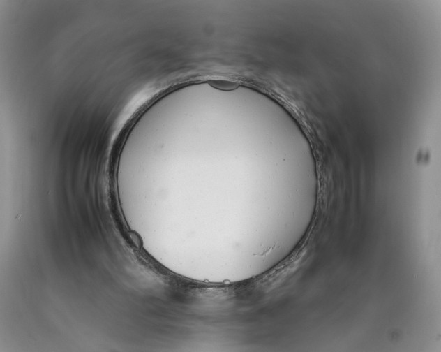 X0000089930102200707271806