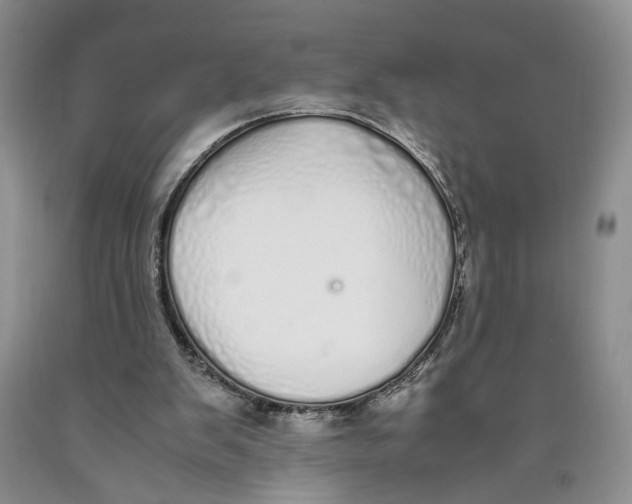 X0000089930103200707271806