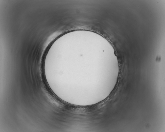 X0000089930104200707271805