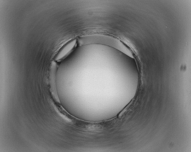 X0000089930105200707271805