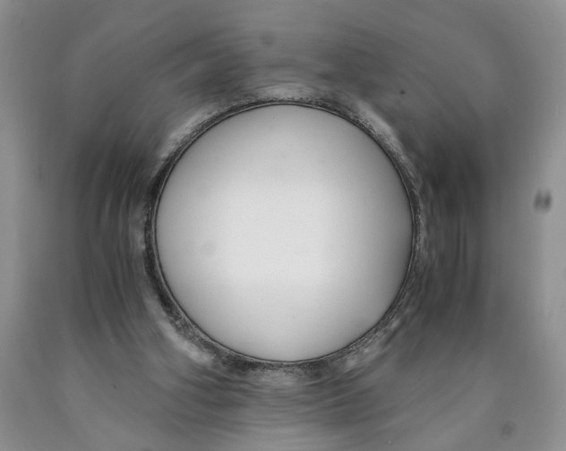 X0000089930106200707271805