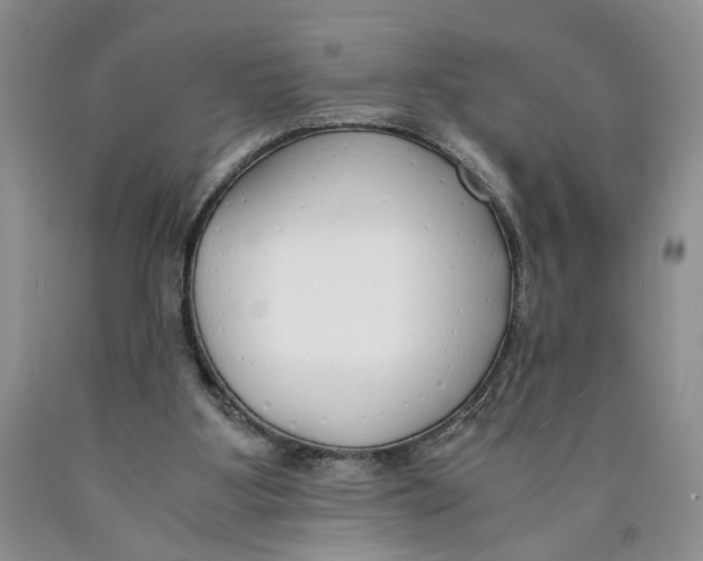 X0000089930107200707271805