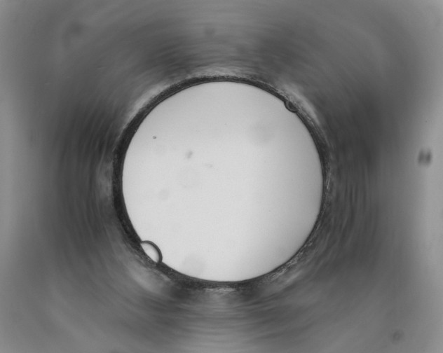 X0000089930108200707271805