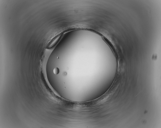 X0000089930109200707271805