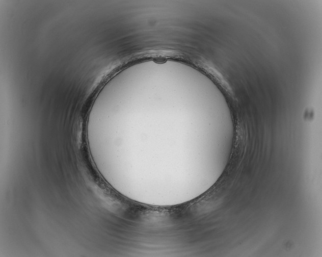 X0000089930110200707271805