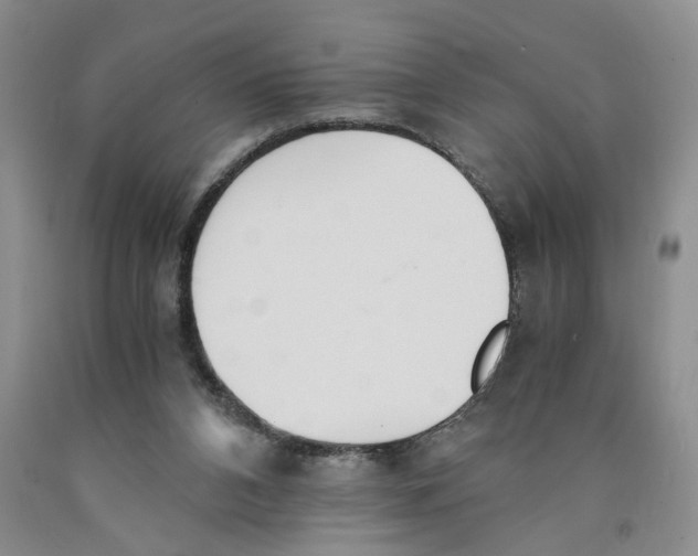 X0000089930112200707271805