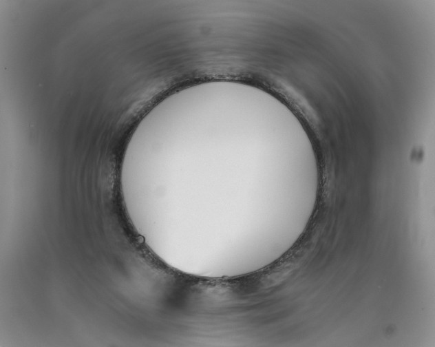 X0000089930113200707271805