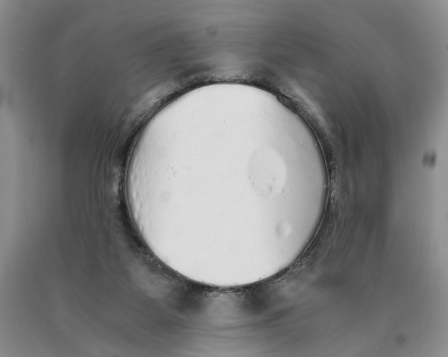 X0000089930115200707271805