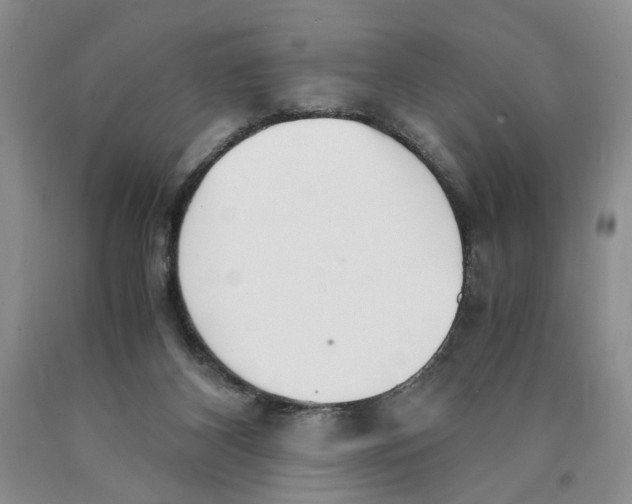 X0000089930116200707271805