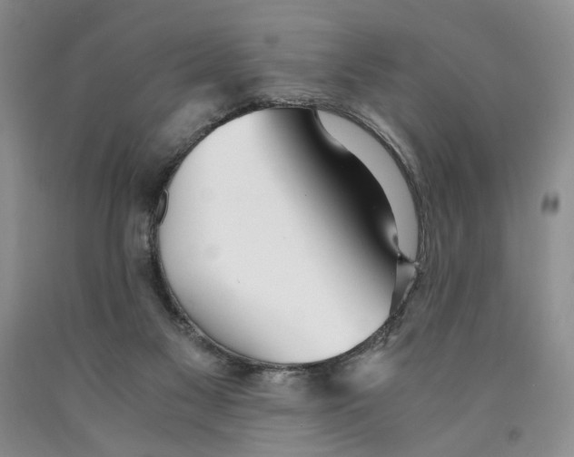 X0000089930117200707271805