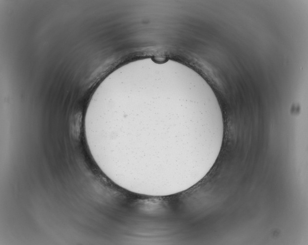 X0000089930118200707271805