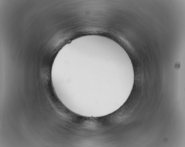 X0000089930119200707271805