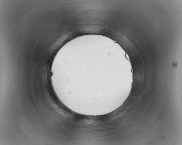 X0000089930120200707271805