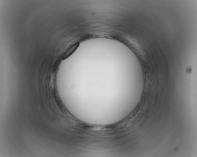 X0000089930121200707271805