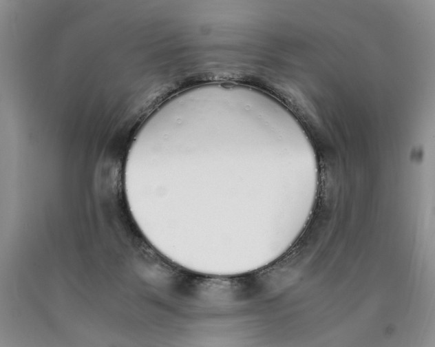 X0000089930123200707271805