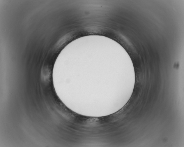 X0000089930124200707271805