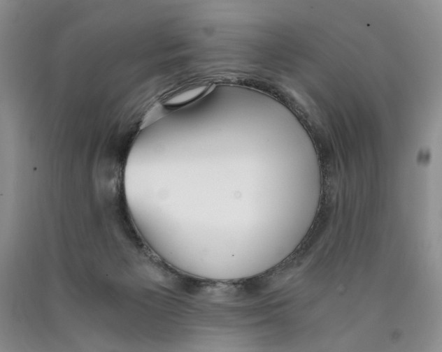 X0000089930125200707271805