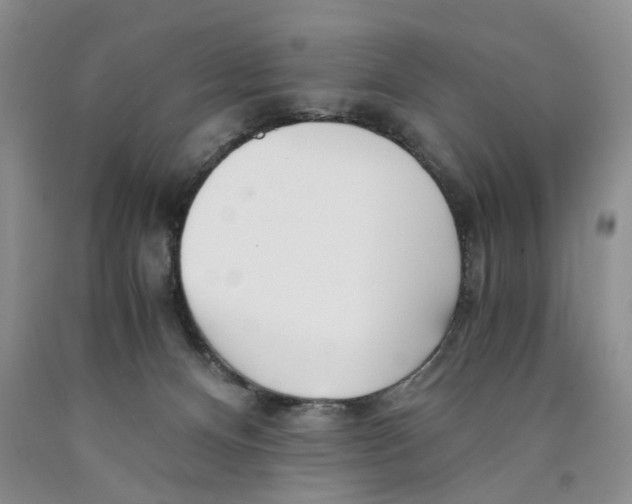 X0000089930128200707271805