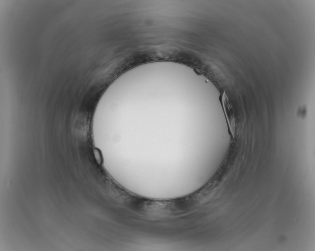 X0000089930129200707271805