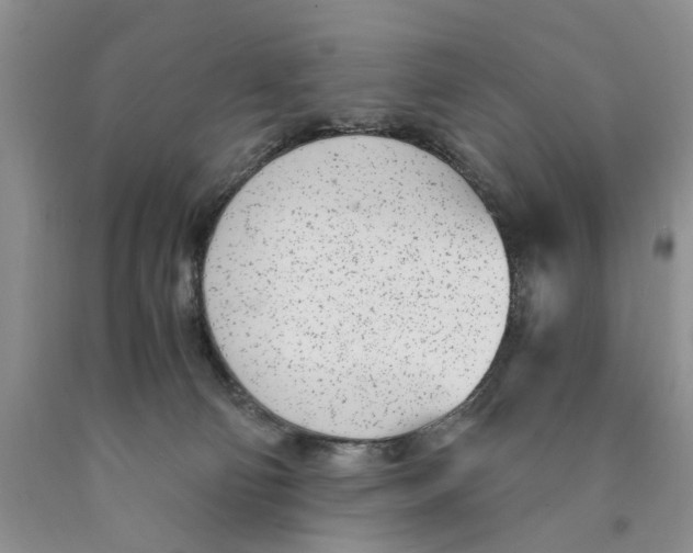 X0000089930130200707271805