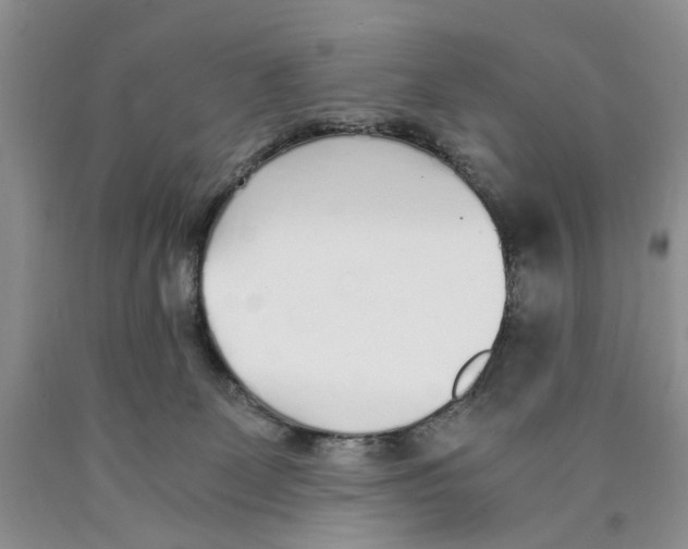 X0000089930131200707271805