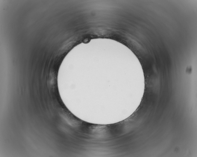 X0000089930132200707271805