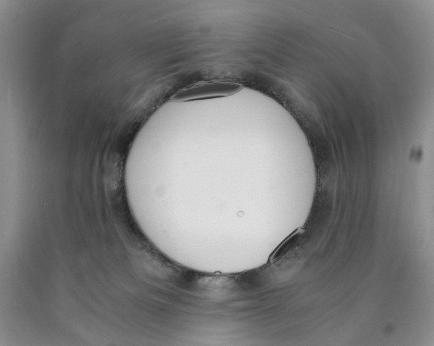 X0000089930133200707271805