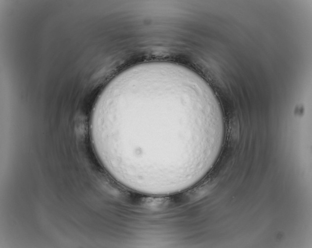 X0000089930135200707271805