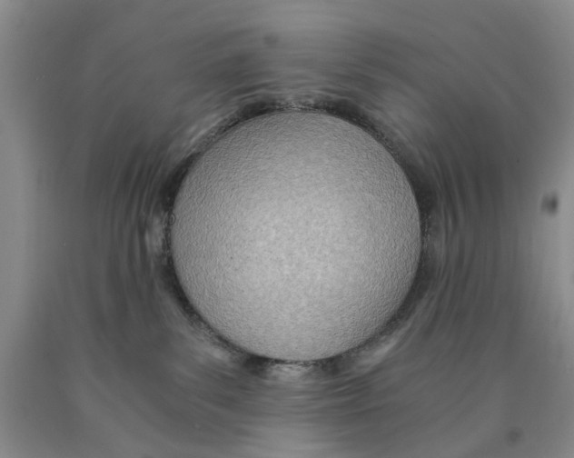 X0000089930139200707271805