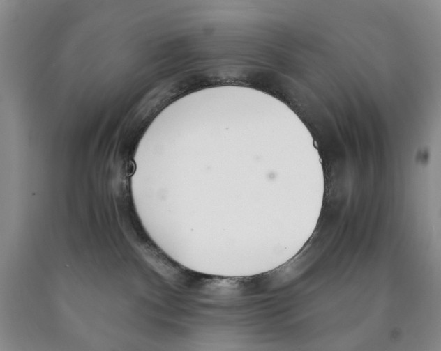 X0000089930140200707271805