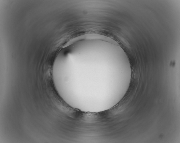 X0000089930141200707271805