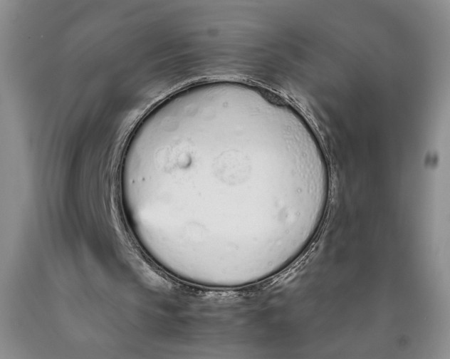 X0000089930145200707271804