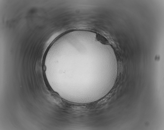 X0000089930147200707271804