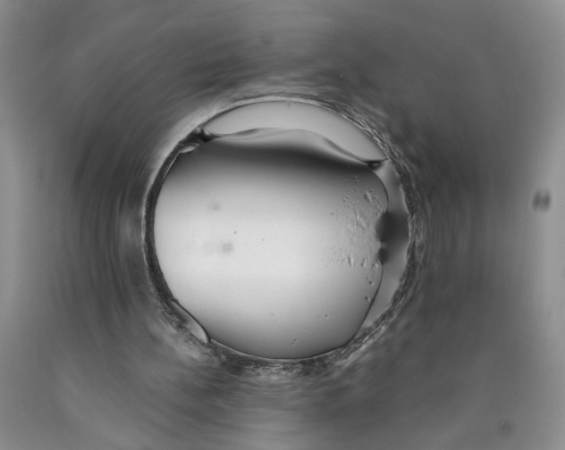 X0000089930148200707271804