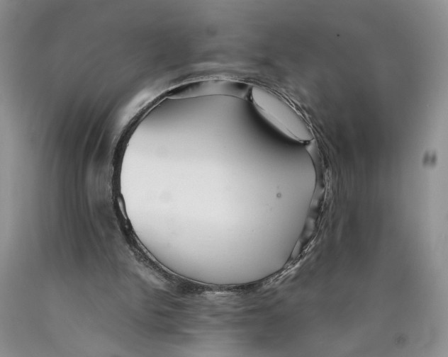 X0000089930150200707271804