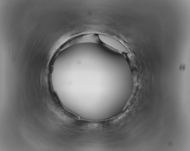 X0000089930152200707271804