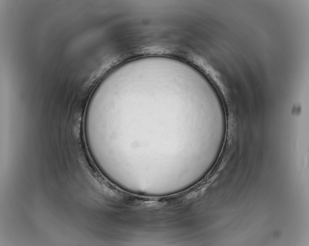 X0000089930153200707271804