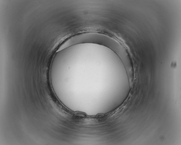 X0000089930154200707271805