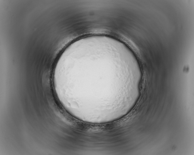 X0000089930155200707271805