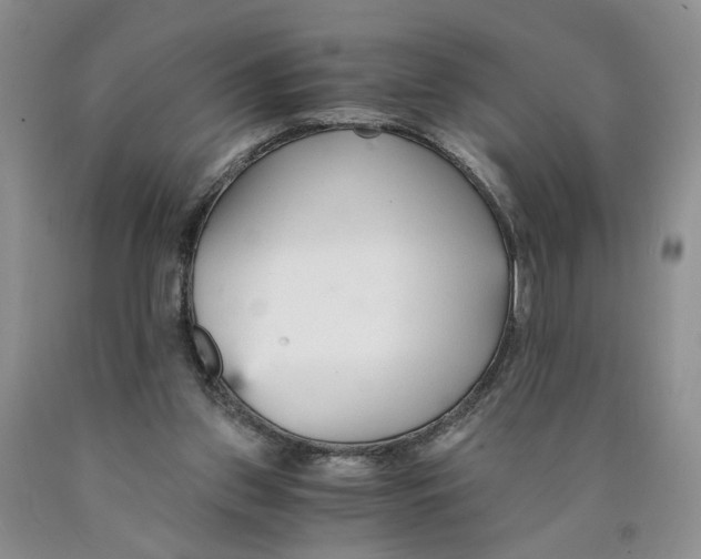 X0000089930157200707271805