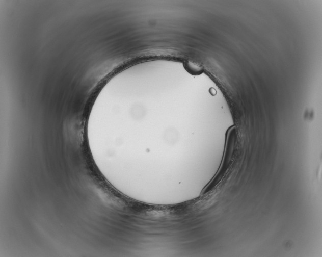 X0000089930160200707271805