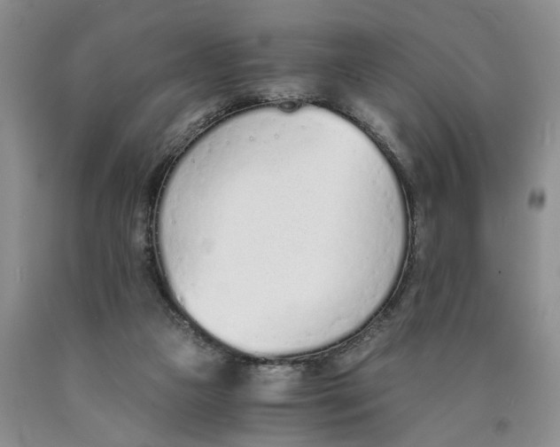 X0000089930161200707271805