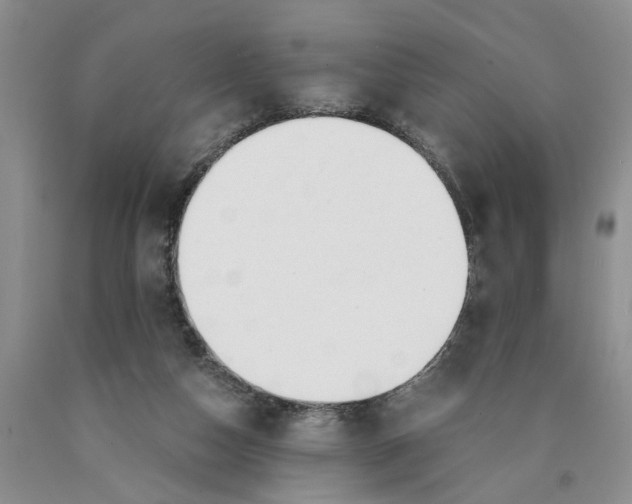 X0000089930162200707271805