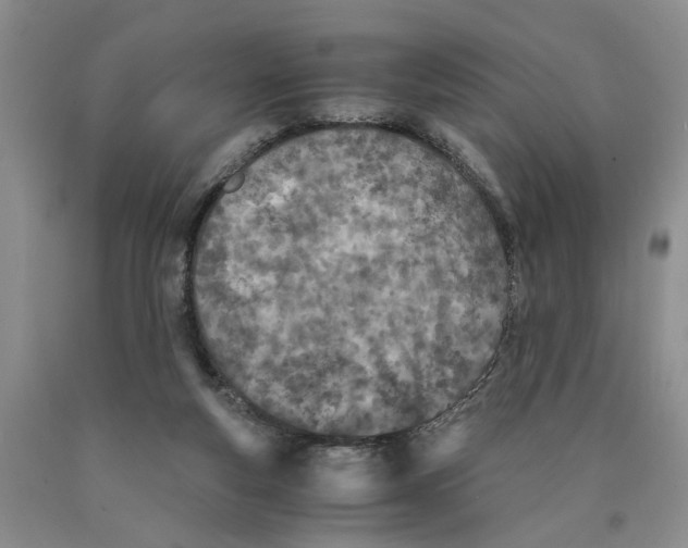 X0000089930163200707271805