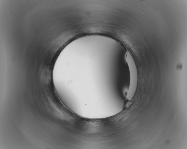 X0000089930164200707271805