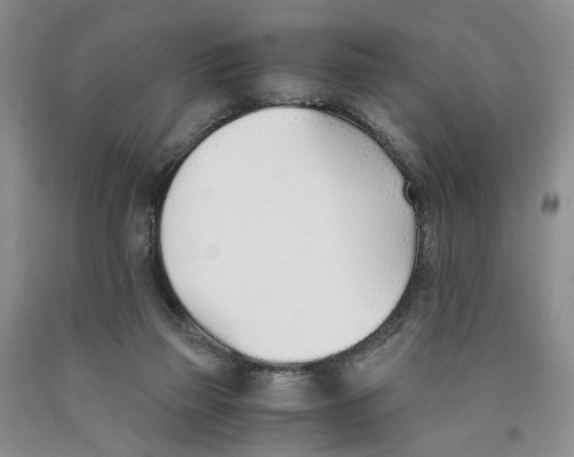 X0000089930165200707271805