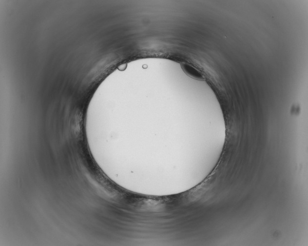 X0000089930166200707271805