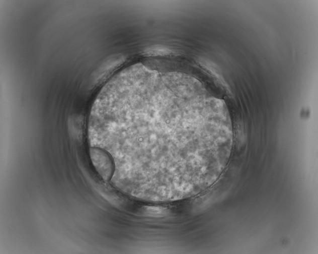 X0000089930167200707271805