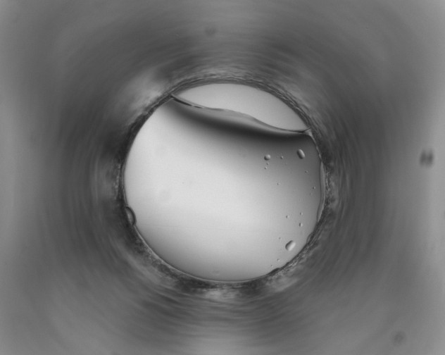 X0000089930168200707271805